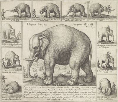 Oni też pachną W Europie widziano słonia (tytuł na obiekcie) autorstwa Wenceslaus Hollar