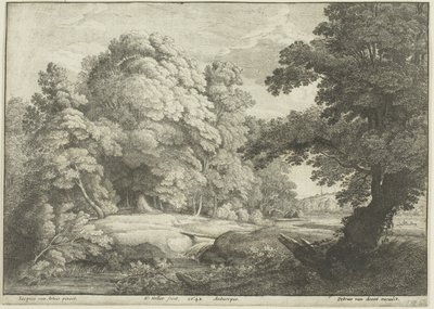 Most nad wodospadem autorstwa Wenceslaus Hollar