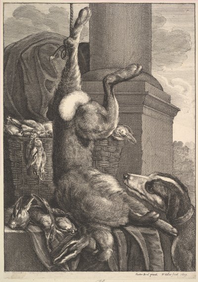 Martwy zając, 1649. autorstwa Wenceslaus Hollar