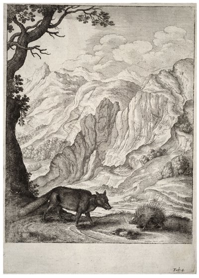Lis i jeżozwierz. Stan 2 autorstwa Wenceslaus Hollar
