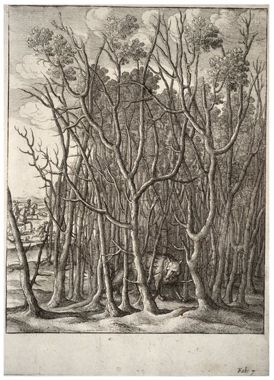 Lis i cierniowy krzew. Stan 2 autorstwa Wenceslaus Hollar