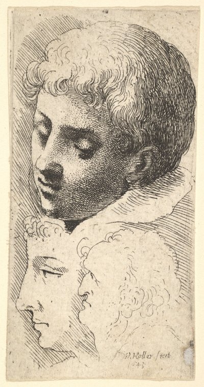 Trzy głowy, 1645. autorstwa Wenceslaus Hollar