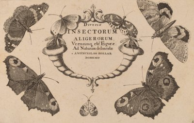 Strona tytułowa. autorstwa Wenceslaus Hollar