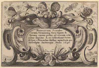 Strona tytułowa autorstwa Wenceslaus Hollar