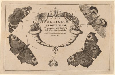 Strona tytułowa autorstwa Wenceslaus Hollar