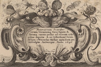 Strona tytułowa, 1646. autorstwa Wenceslaus Hollar