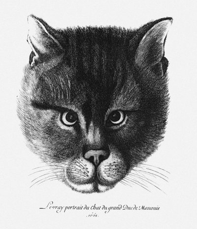 Prawdziwy obraz kota cara Aleksego I Michajłowicza Rosji autorstwa Wenceslaus Hollar