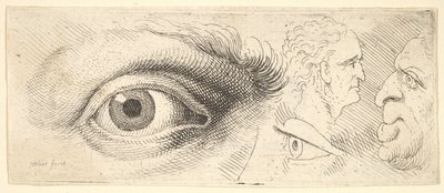 Dwoje oczu i dwie głowy, 1644-52. autorstwa Wenceslaus Hollar
