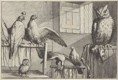 Sokoły i sowy w stodole Gatunki Diversae avium (tytuł serii) Różne ptaki (tytuł serii) autorstwa Wenceslaus Hollar