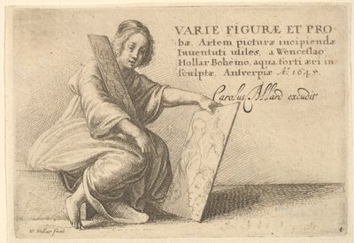 Różne figury i sondy, 1645 autorstwa Wenceslaus Hollar
