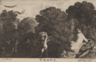 Wenus. autorstwa Wenceslaus Hollar