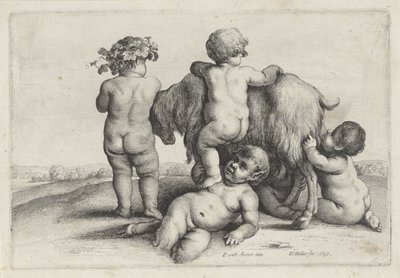 Czterech chłopców, satyr i koza Putti i Satyrowie (tytuł serii) autorstwa Wenceslaus Hollar