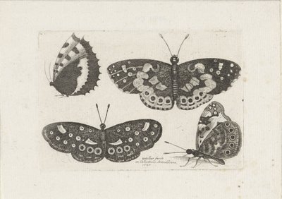 Vier vlinders Owady (tytuł serii) Skarabeusz Muchy (tytuł serii) autorstwa Wenceslaus Hollar