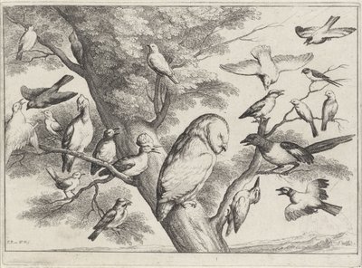 Ptaki na drzewie Różne ptaki (tytuł serii) autorstwa Wenceslaus Hollar