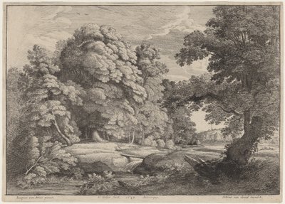 Most nad wodospadem autorstwa Wenceslaus Hollar after Jacques d