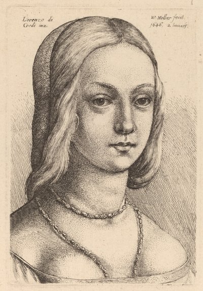 Głowa kobiety patrzącej w prawo autorstwa Wenceslaus Hollar after Lorenzo di Credi