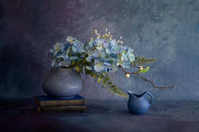  autorstwa Wendy Xu