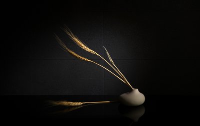  autorstwa Wendy Xu