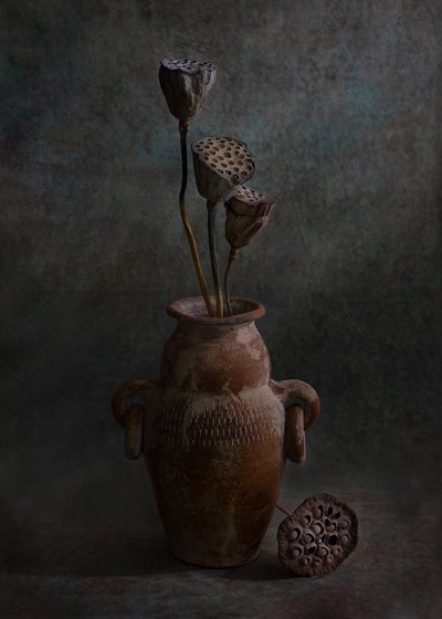  autorstwa Wendy Xu