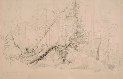 Bez tytułu autorstwa Werner Holmberg