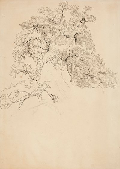  autorstwa Werner Holmberg