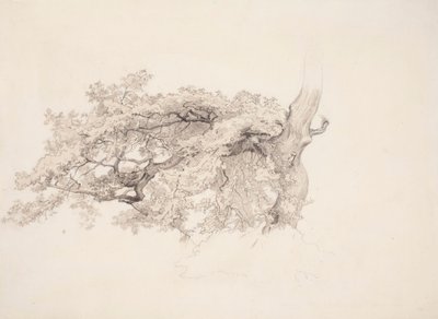  autorstwa Werner Holmberg