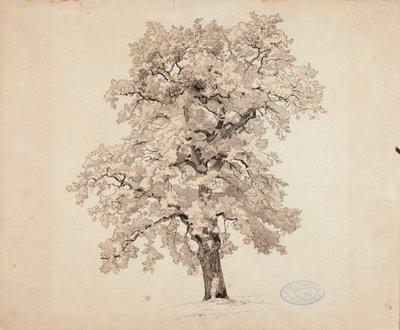  autorstwa Werner Holmberg
