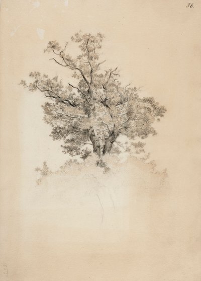  autorstwa Werner Holmberg
