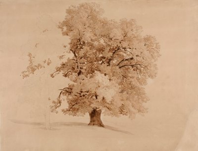 autorstwa Werner Holmberg