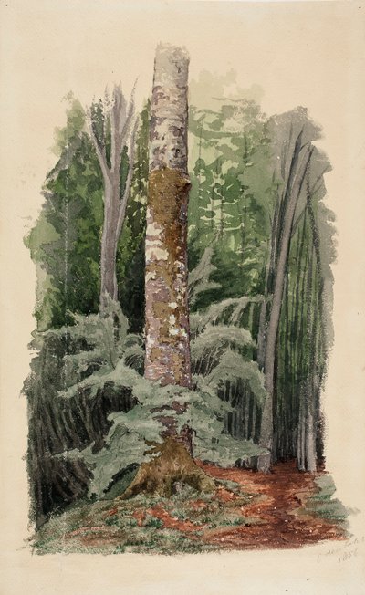  autorstwa Werner Holmberg