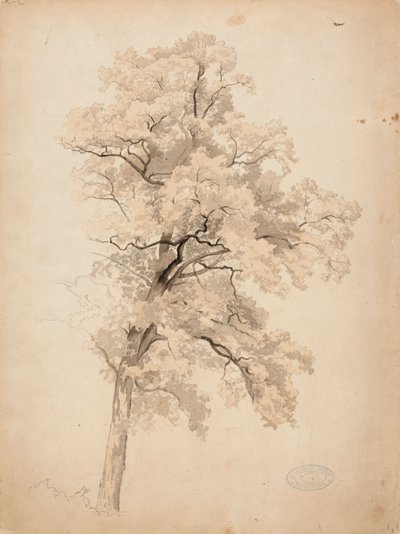 autorstwa Werner Holmberg