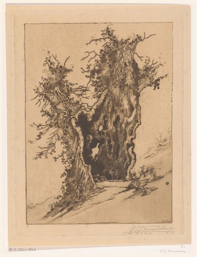 Puste drzewo w Seelisberg w Szwajcarii Puste drzewo (tytuł oryginalny) autorstwa Wijnand Otto Jan Nieuwenkamp (signed by artist)