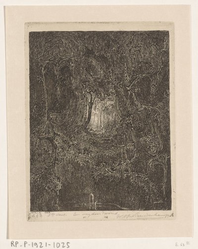 Dżungla w Javie Droga przez las (tytuł oryginalny) autorstwa Wijnand Otto Jan Nieuwenkamp (signed by artist)