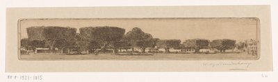 Drzewa ostrzegawcze w ogrodzie pałacu sułtana w Jogyakarta Plac w Jogjakarta (tytuł oryginalny) autorstwa Wijnand Otto Jan Nieuwenkamp (signed by artist)