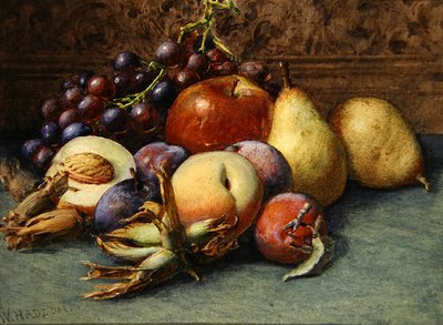Martwa natura owoców (akwarela na papierze) autorstwa Wilberforce Haddon