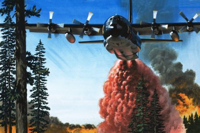 Bombardowanie pożaru lasu autorstwa Wilf (20th century) Hardy