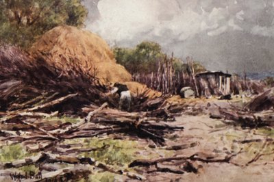 Japheth at Work (kolorowa litografia) autorstwa Wilfrid Williams Ball