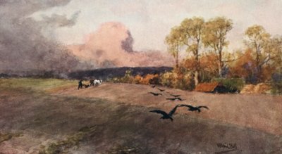 Orka (kolorowa litografia) autorstwa Wilfrid Williams Ball