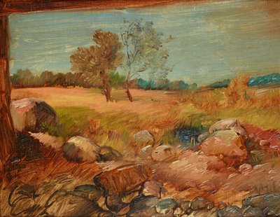 Widok ze stodoły autorstwa Wilhelm Busch