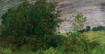 krajobraz autorstwa Wilhelm Busch