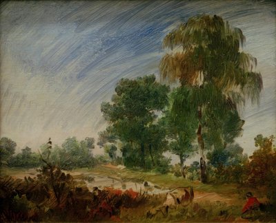 Późnoletnie wrzosowisko ze stawem autorstwa Wilhelm Busch