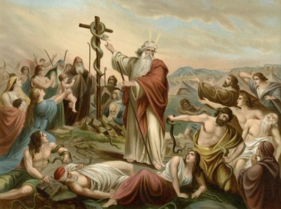 Elewacja mosiężnego węża (kolor lito) autorstwa Wilhelm Ebbinghaus
