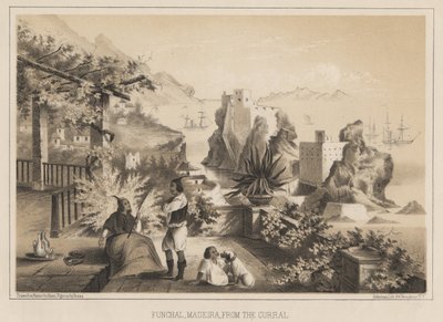 Funchal, Madera, z Corral, 1885 autorstwa Wilhelm Joseph Heine