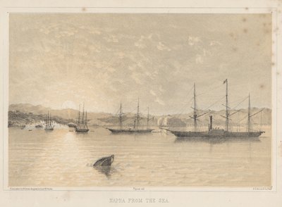 Napha od strony morza, 1855 autorstwa Wilhelm Joseph Heine