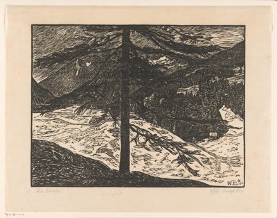 Modrzew (oryginalny tytuł na obiekcie) autorstwa Wilhelm Laage (signed by artist)