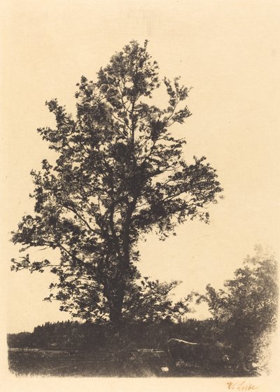 Wielkie Drzewo autorstwa Wilhelm Maria Hubertus Leibl