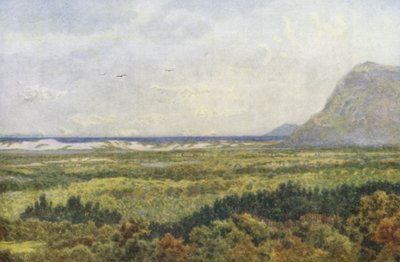 Constantia Valley i False Bay, z Cape Point (kolorowa litografia) autorstwa Wilhelm Westhofen