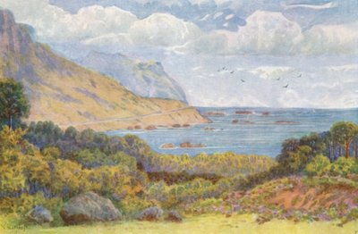 Na Victoria Road, w pobliżu Oude Kraal (kolorowa litografia) autorstwa Wilhelm Westhofen