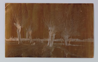 Wierzby w rowie w Binckhorstlaan w Hadze autorstwa Willem Adrianus Grondhout (signed by artist)