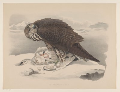 Sokół z pardwą Le gerfaut sors (tytuł na obiekcie) autorstwa Willem Bastiaan van Wouw
